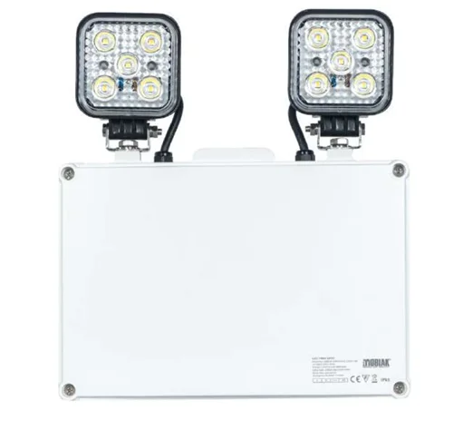 Svjetlo za hitne slučajeve Vodootporno 1800-2000 LM LED / 180 min Tip Sove