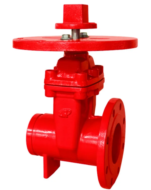 200PSI-NRS tip zasuna s prirubnicom i utorom